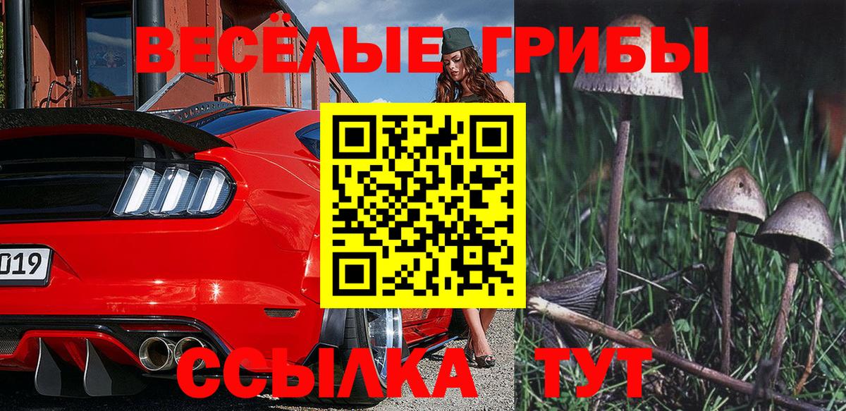 Советский  Псилоцибиновые грибы ЛСД  Вход с VPN 